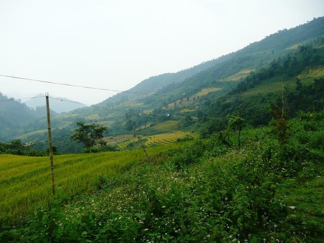 Urlaub in Vietnam 2007